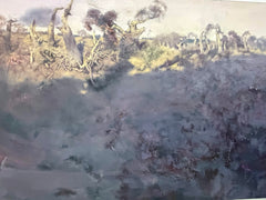 Populus Euphratica | 胡楊