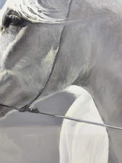 White Steed in the Wind