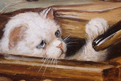 Close-up of a white kitten resting among books and music