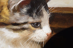 Close-up of a gray-and-white cat showing detailed painted fur