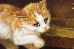Close-up of an orange-and-white cat with expressive painted eyes