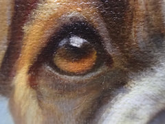 Close-up of a pet's eye and layered fur colors in a classical oil portrait