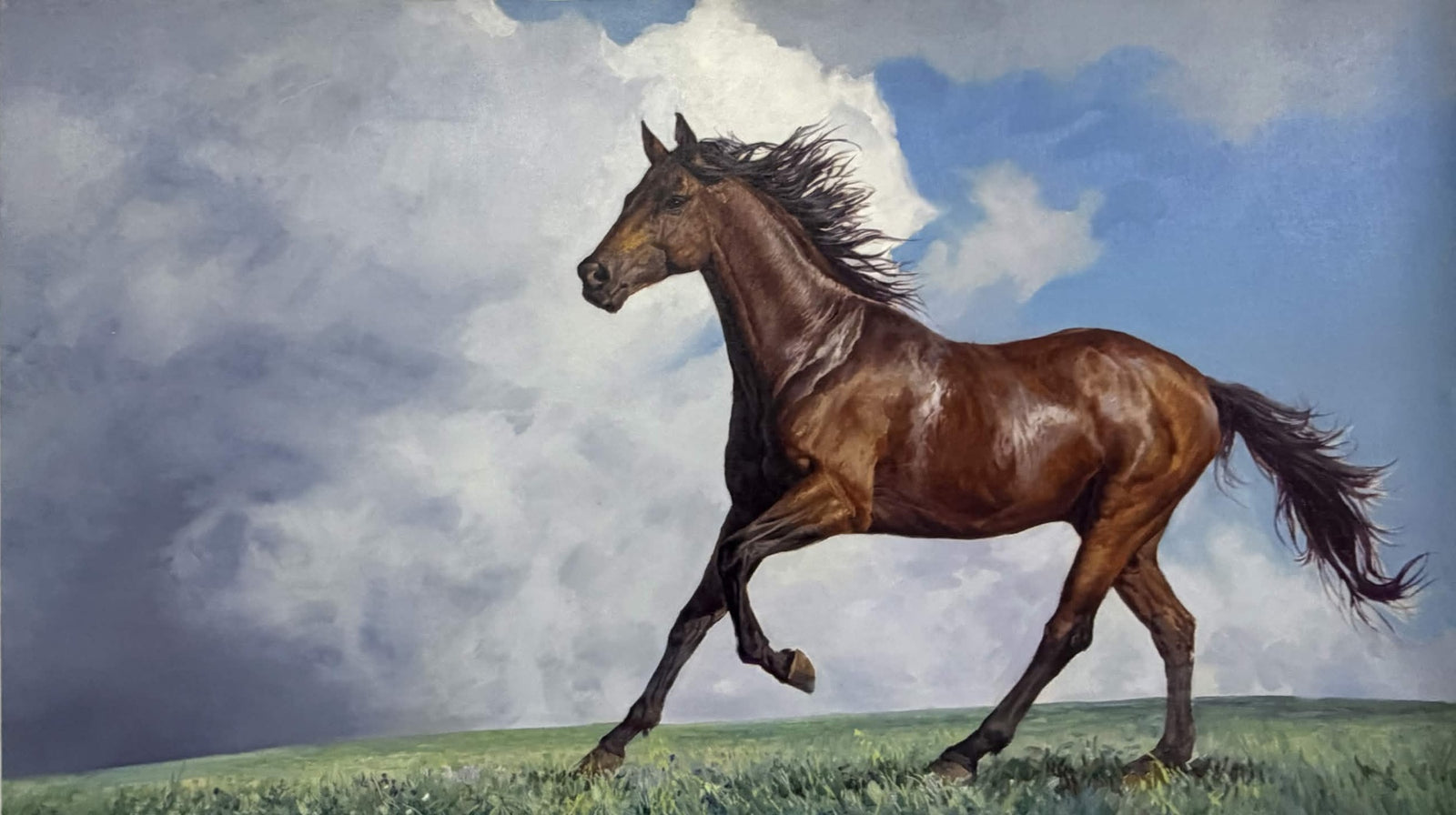 Horse Riding the Spring Breeze