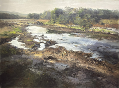 Riverbank in Morning Light