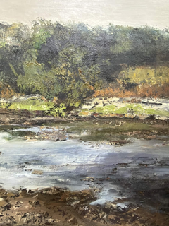 Riverbank in Morning Light