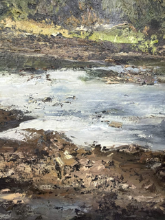 Riverbank in Morning Light