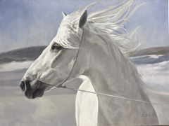White Steed in the Wind